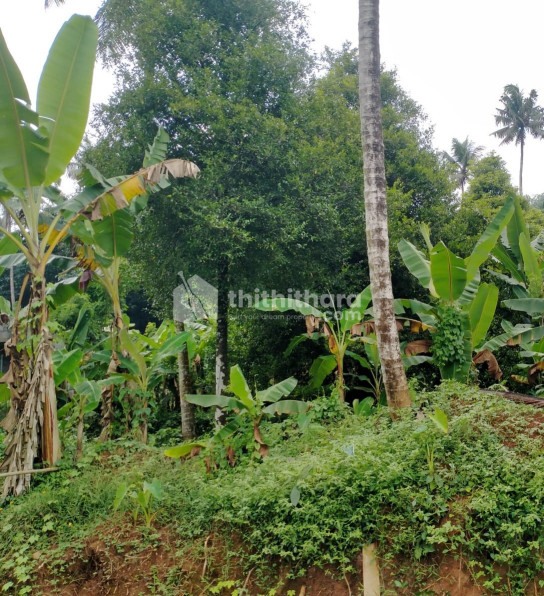 Residential plot for sale at Puthukkad ,Thrissur