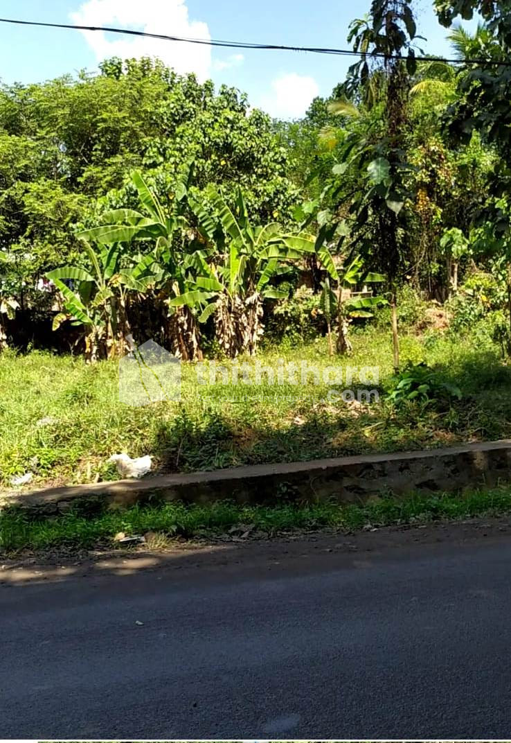 Residential Plot for sale in Amayur, Pattambi