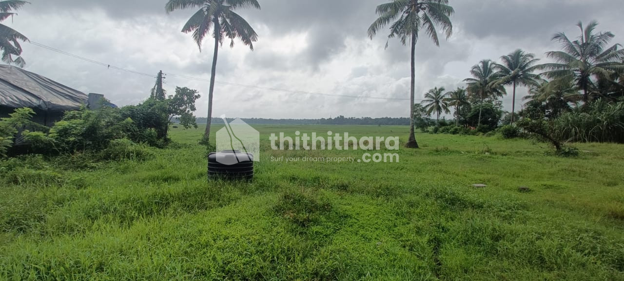 Residential Land for sale at Mathilakam ,Padiyoor