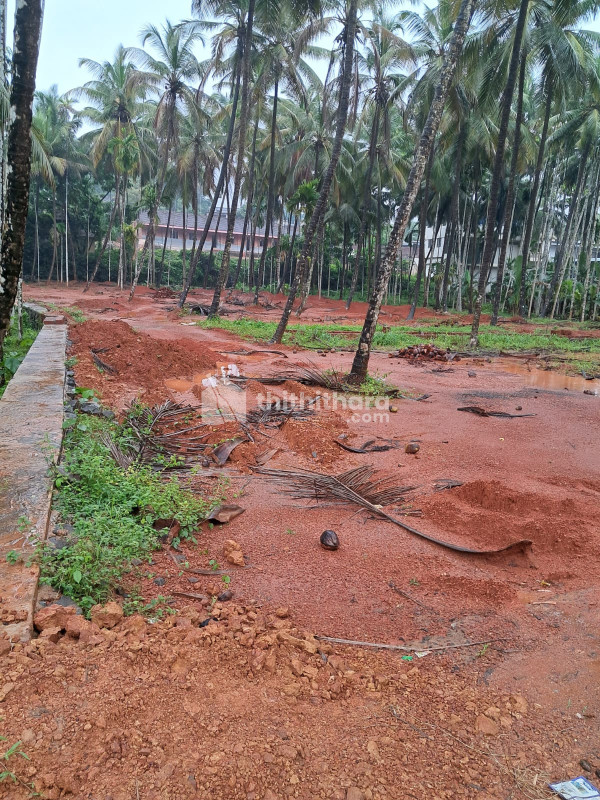 Commercial Plot for Sale in Amayoor, Areekode