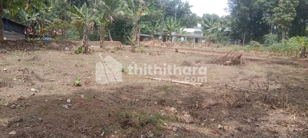 Residentail Land For sale at Adoor, Pathanamthitta