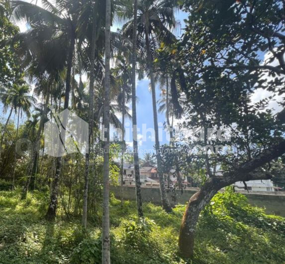 Residential land for sale in Olari