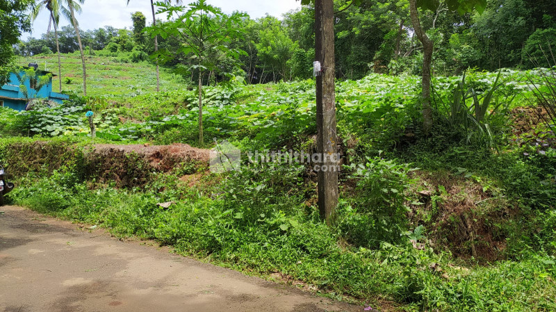 Residential Plot for Sale in Arakkuparamba,Perinthalmanna