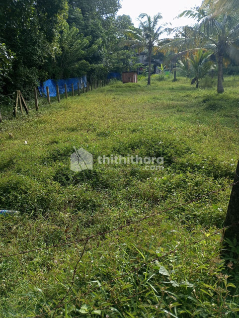 PLOT FOR SALE AT THRISSUR ,CHAMAKKALA