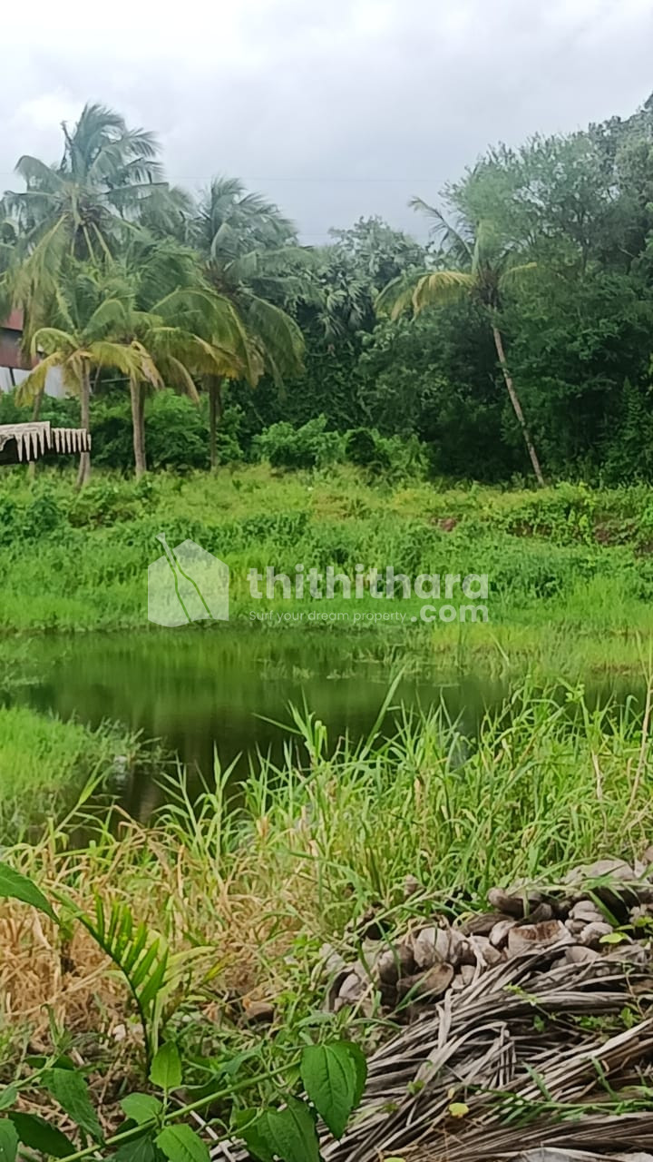 AGRICULTURAL LAND FOR SALE AT POLPULLY PALAKKAD