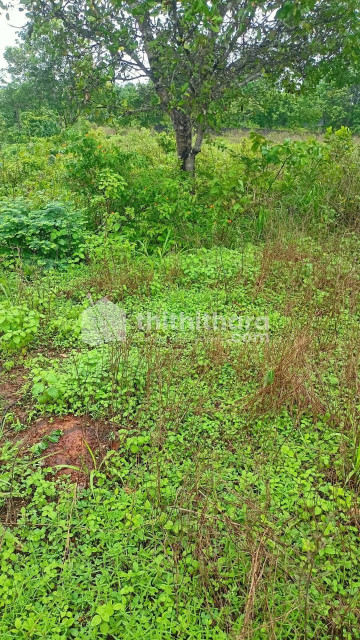 RESIDENTIAL LAND FOR SALE AT POOMALA ,THRISSUR