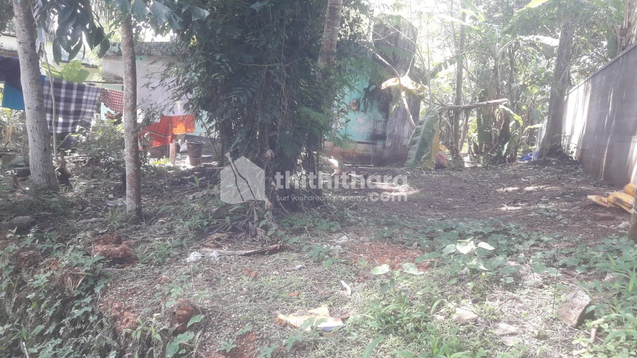 10 Cent Residential Land for sale at Parippally, Kollam