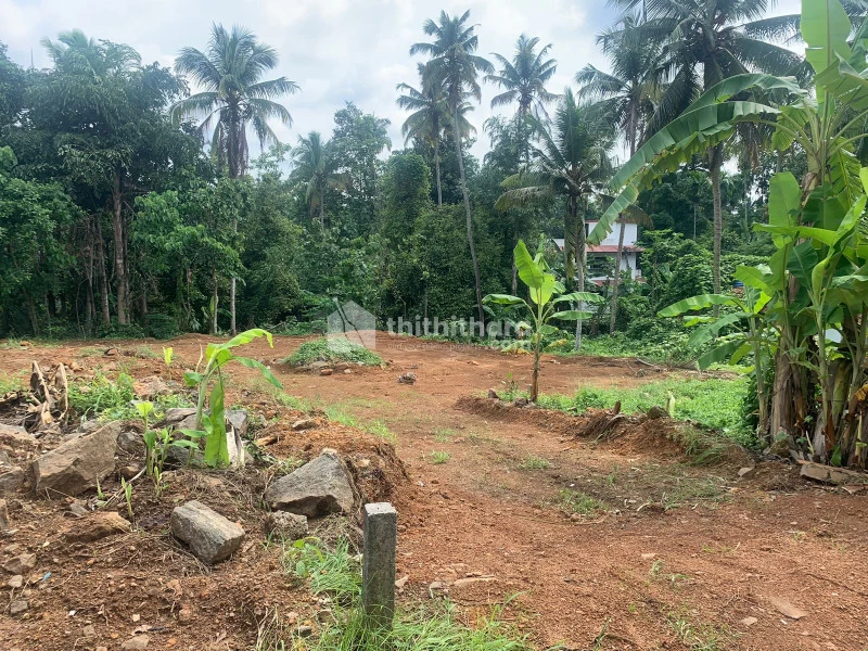 23 Cent Residential Land For Sale at Kothamangalam, Ernakulam