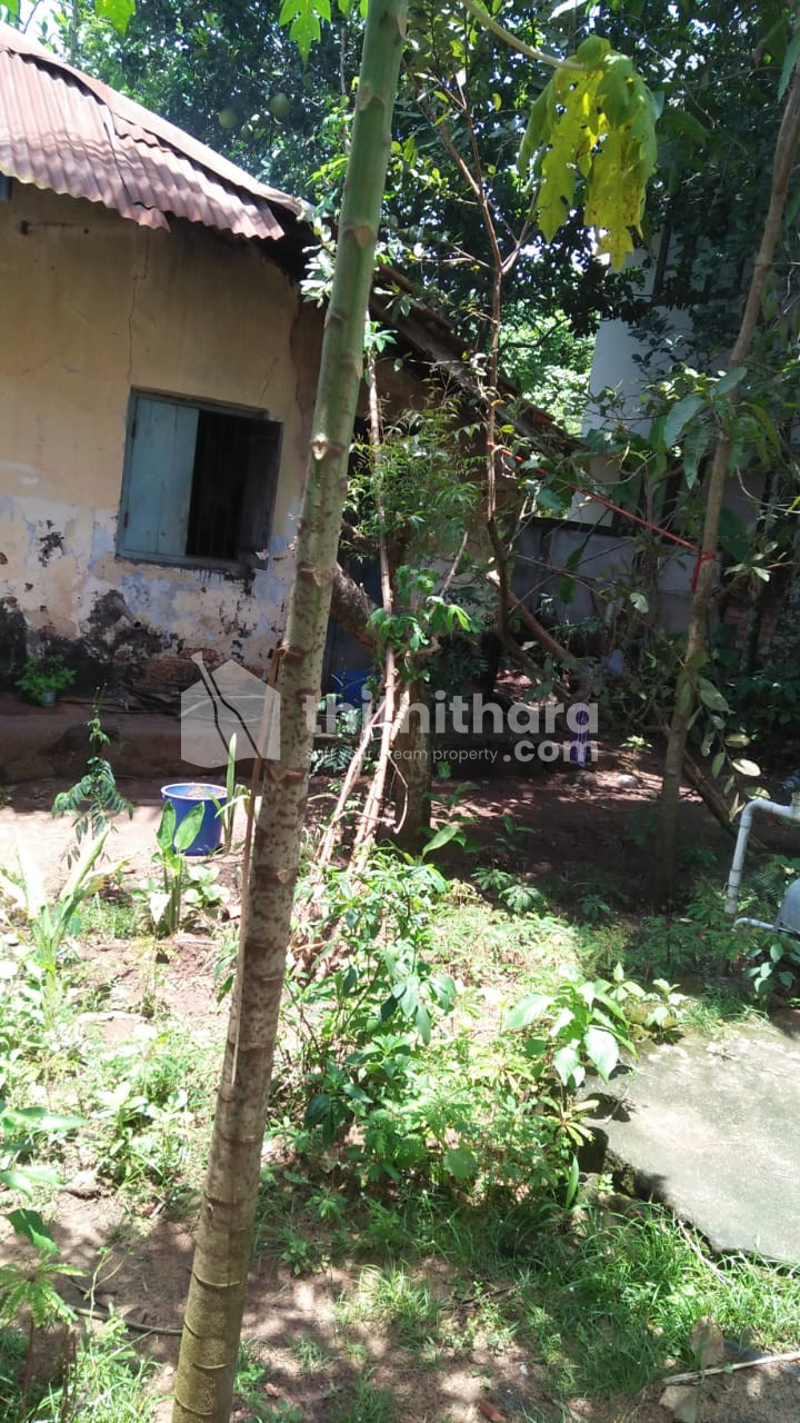 Residential Land for sale at Mayyanad, Kollam