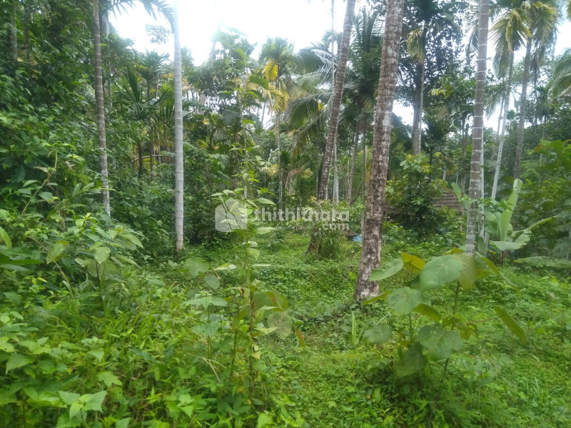 Residential Land for Sale in Padikkachal, Kannur