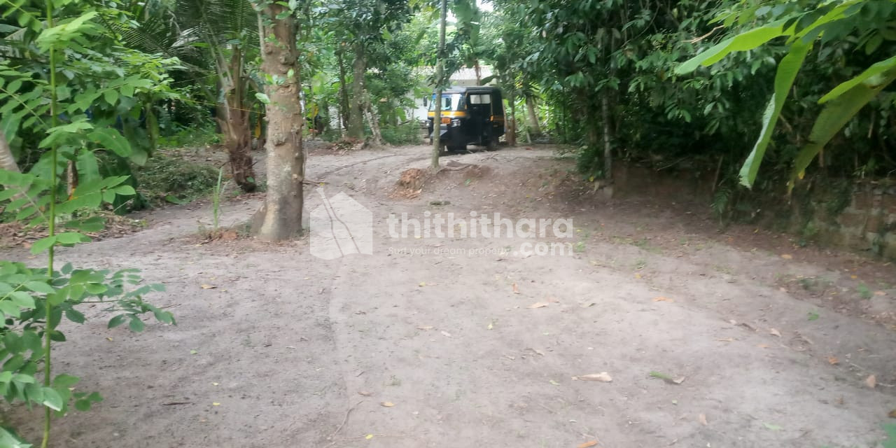 Land For Sale at Mannanchery, Alappuzha