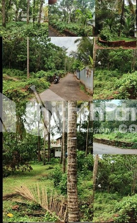 58 cent for sale കണ്ണൂർ എയർപോർട്ട് റോഡിൽ നിന്നും 300 മീറ്റർ. ചേലോര