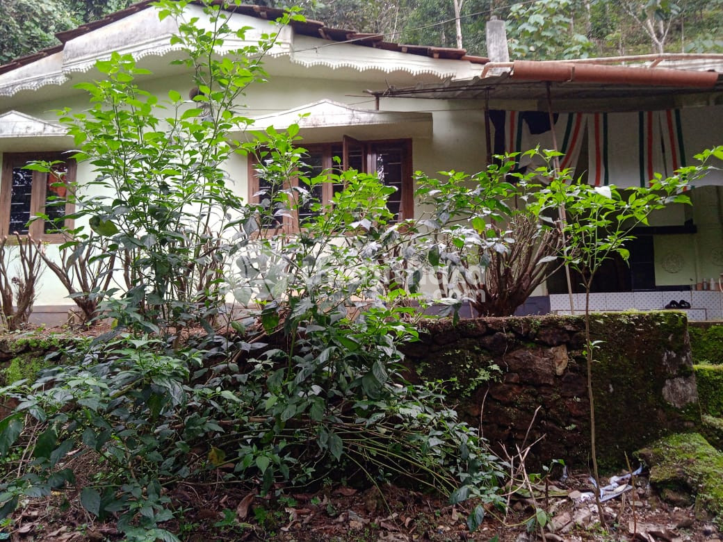 2 BHK HOUSE FOR SALE AT KARIMBIL MANANTHAVADY