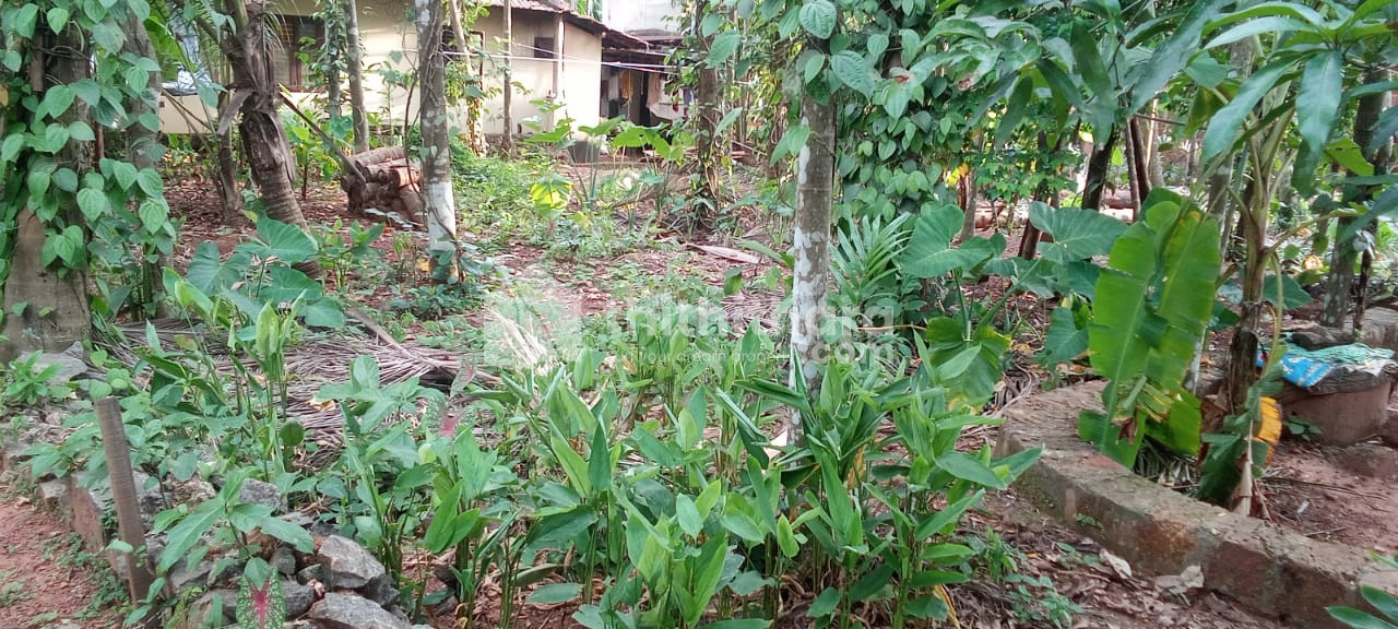 12 Cent Residential land for sale at Vaidyarangadi ,Ramanattukara