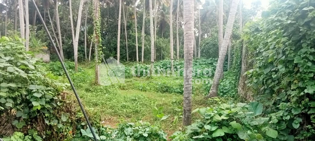 Residential Land for Sale at Nedumangad, Thiruvanathapuram