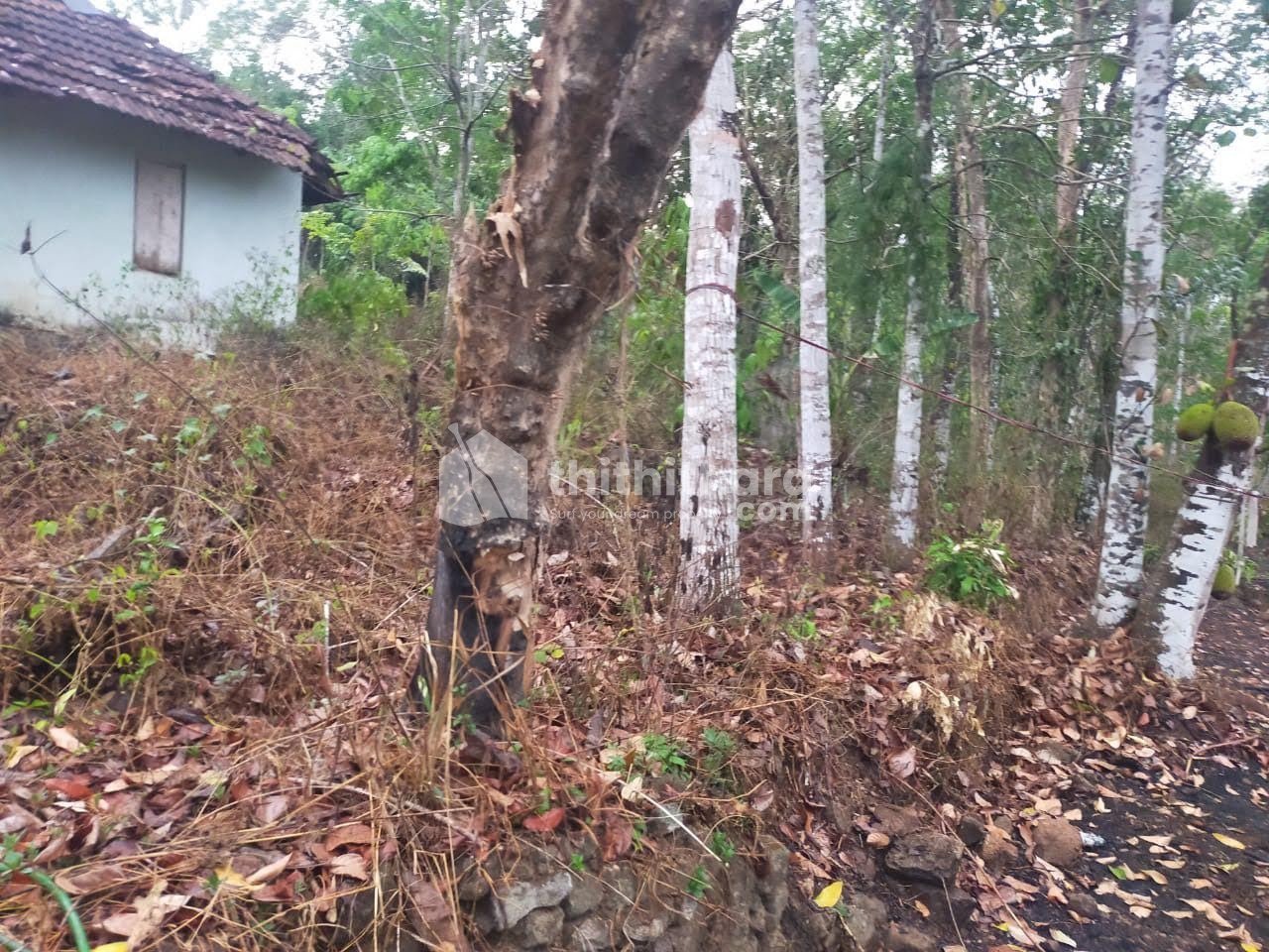 10 cent plot for sale in Vadakkemuri, Mallapalli