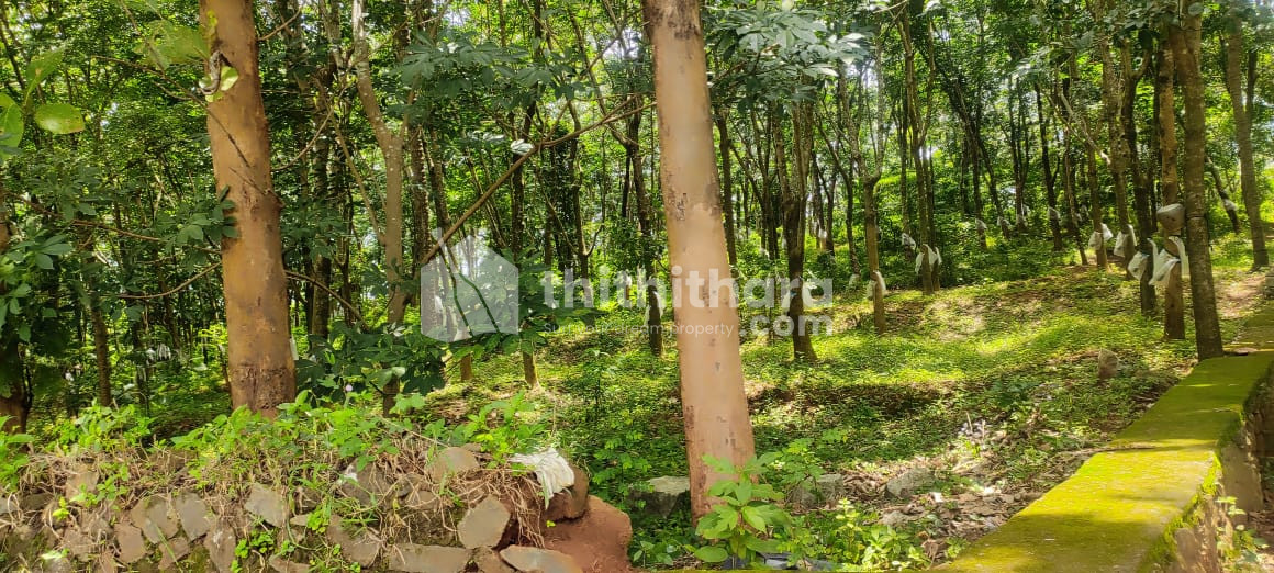 COMMERCIAL PLOT FOR SALE AT KALLINGALPADAM PALAKKAD