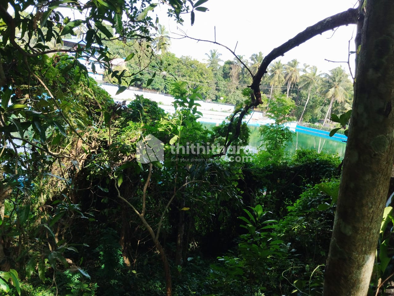 RESIDENTIAL LAND FOR SALE AT OTTAPALAM PALAKKAD