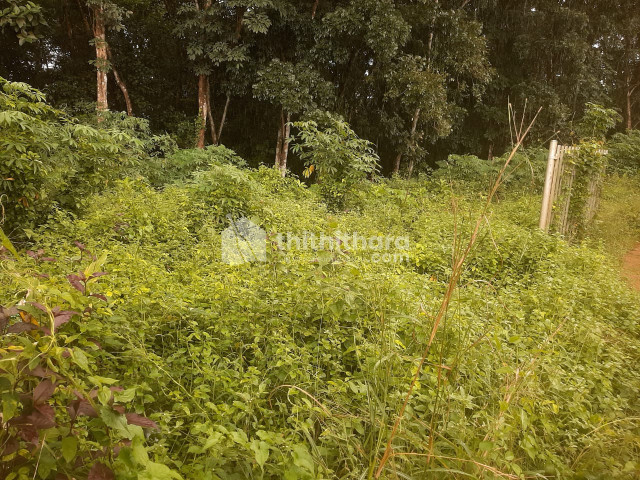Residential Land for sale at Ettumanoor, Kottayam