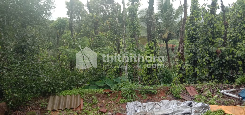 RESIDENTIAL LAND FOR SALE AT KALLODY WAYANAD