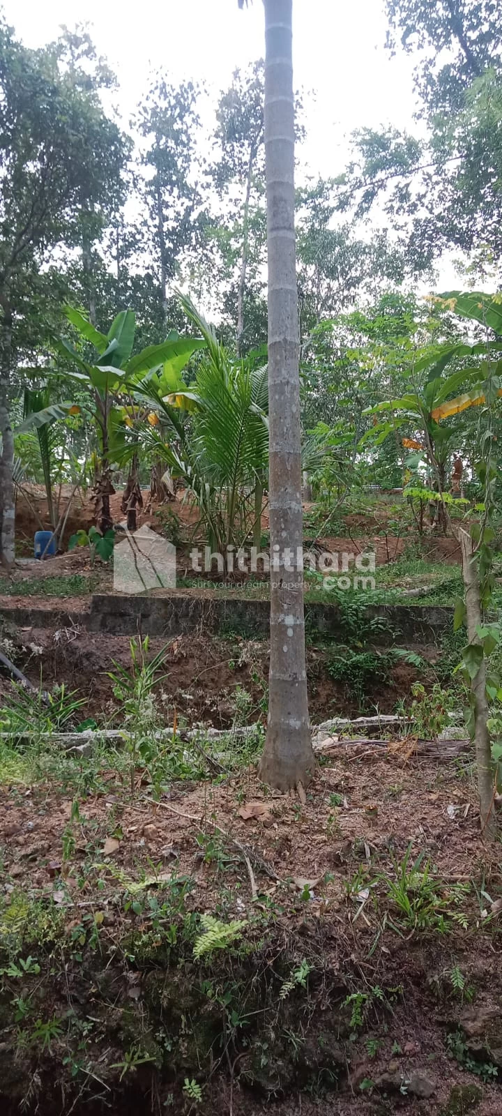 Residential Land for Sale at Aryanad, Thiruvananthapuram