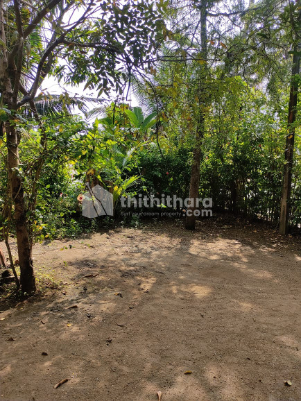 Residential Land for Sale @ Cherthala, Alappuzha