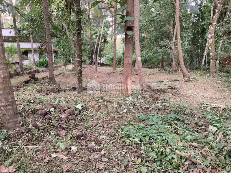 Plot for sale in Thenhippalam, 5 km away from NH