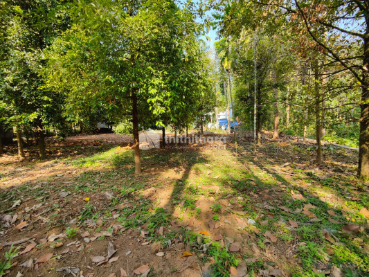 RESIDENTIAL LAND FOR SALE AT MATTATHUR THRISSUR
