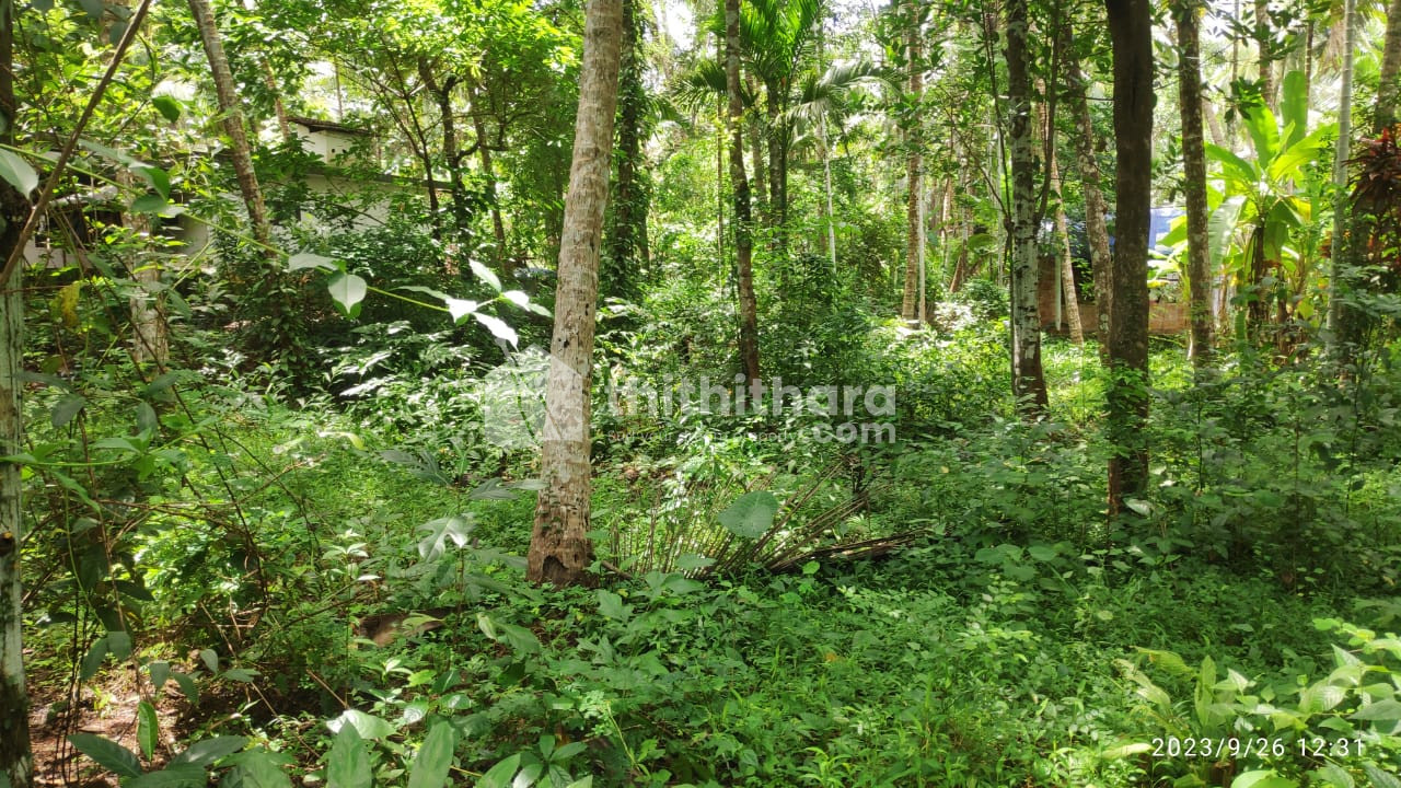 RESIDENTIAL LAND FOR SALE AT KOYILANDI KOZHIKODE