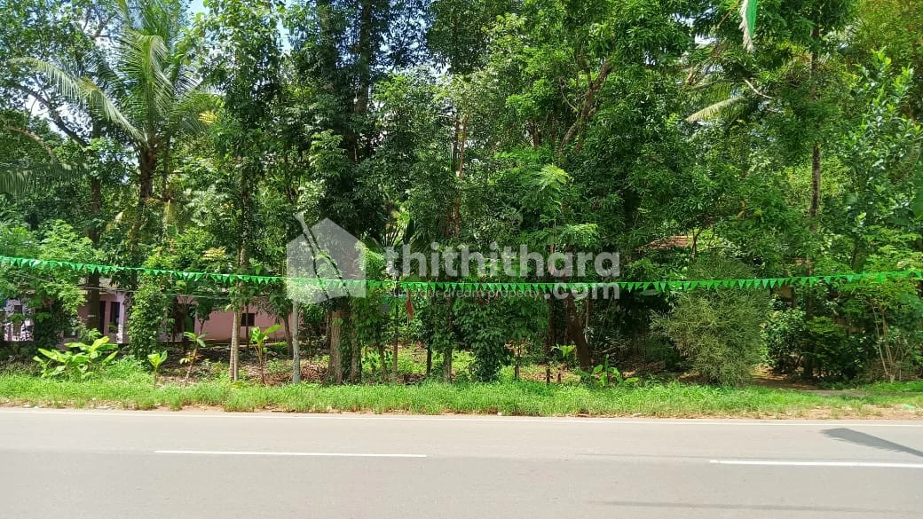 Residential Land  for Sale at Elavupalam, Thiruvananthapuram