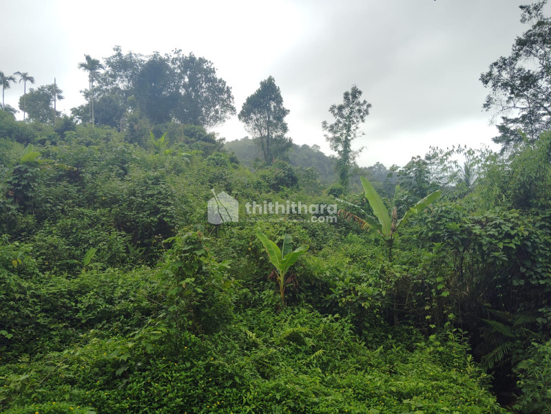 3 acres  Land at Kakkadampoil