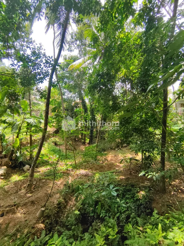 Residential Land for Sale at Puliyarakonam, Thiruvananthapuram