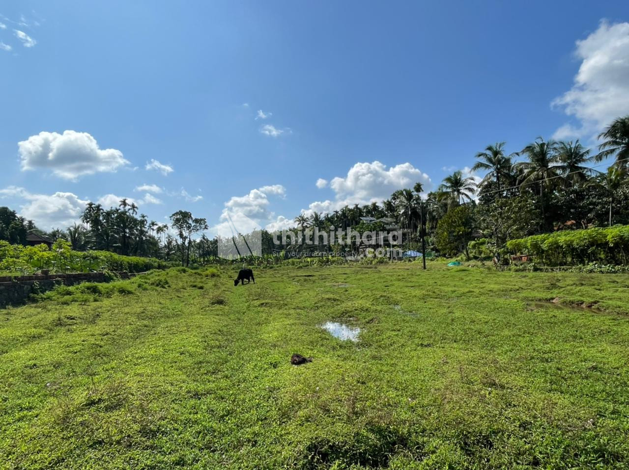 Plot for Sale at Karuvankallu,Kondotty