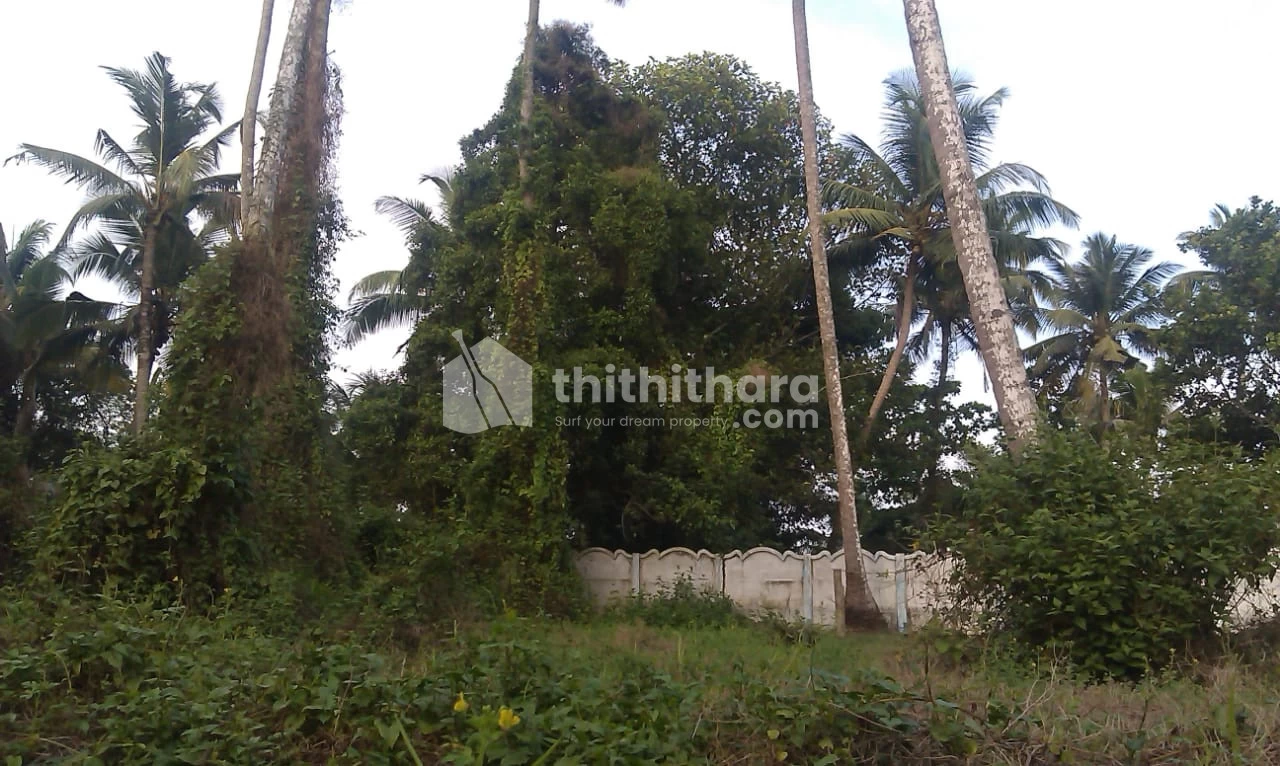 Residential Land for Sale at Angamaly, Ernakulam