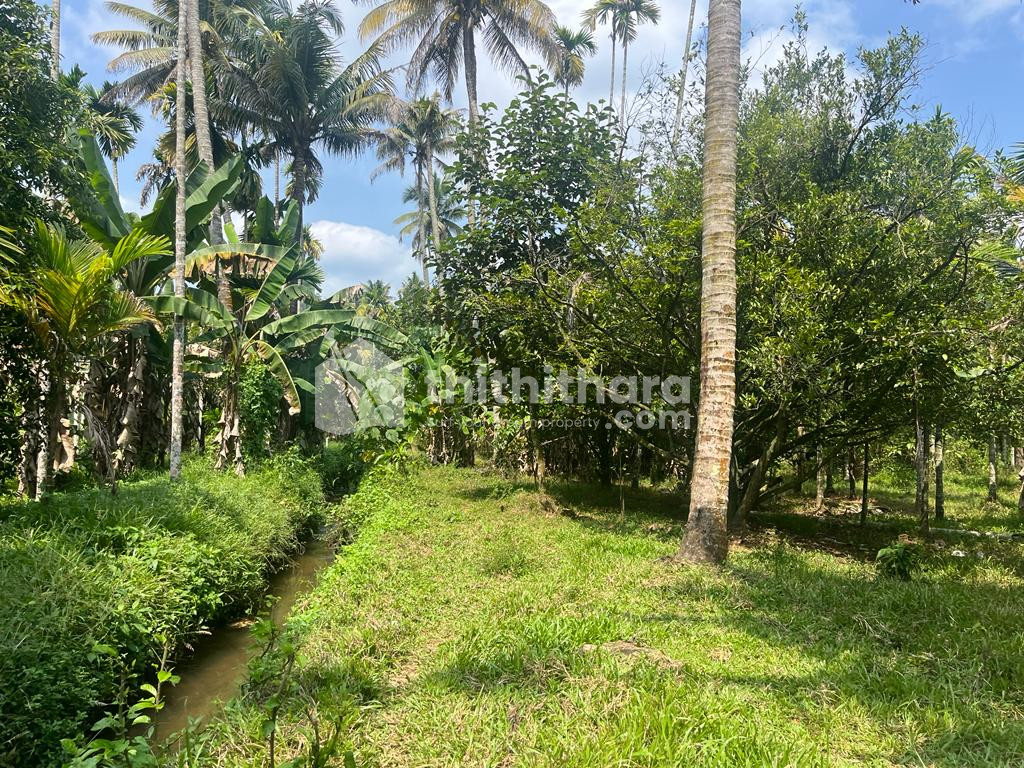 Agricultural Land for Sale at Munnoorppilly, Ernakulam