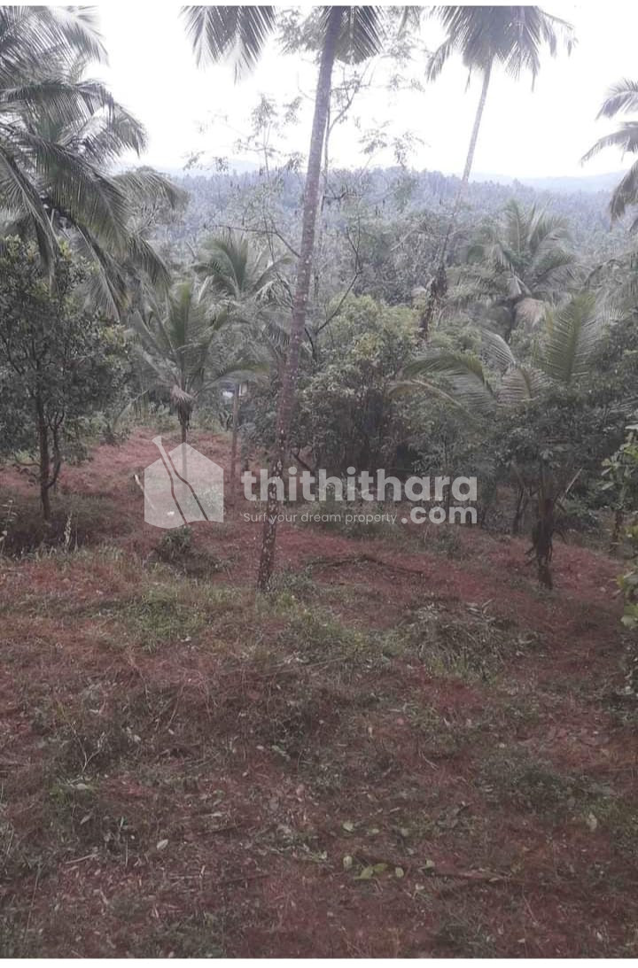 Residential land for sale at Vadakara Kozhikode