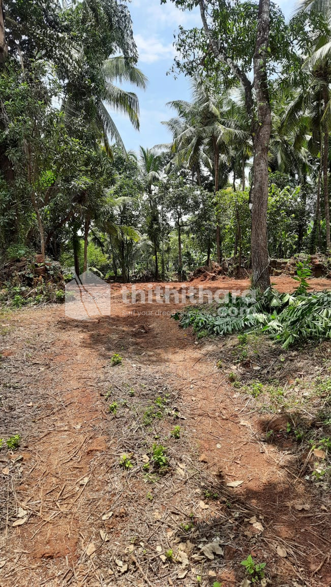 Residential land for sale at Puthiyatheru, Kannur
