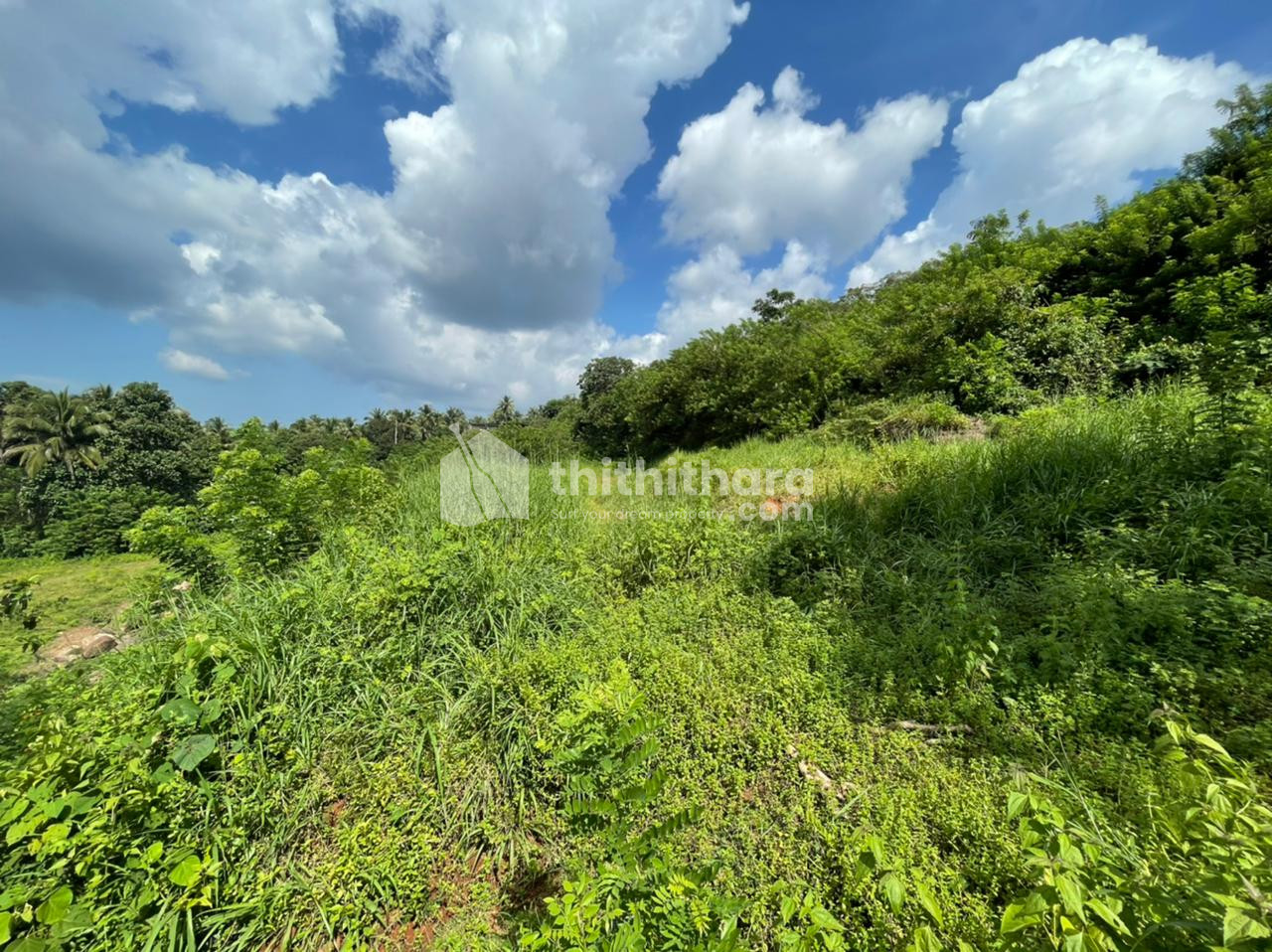 Residential Plot for Sale in Karuvankallu, Kondotty