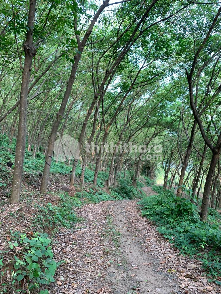  Agricultural or Housing Plot for sale at Kuttichal, Thiruvananthapuram