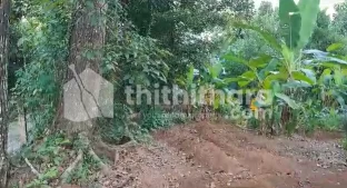 Residential Land for Sale at Angamaly, Ernakulam