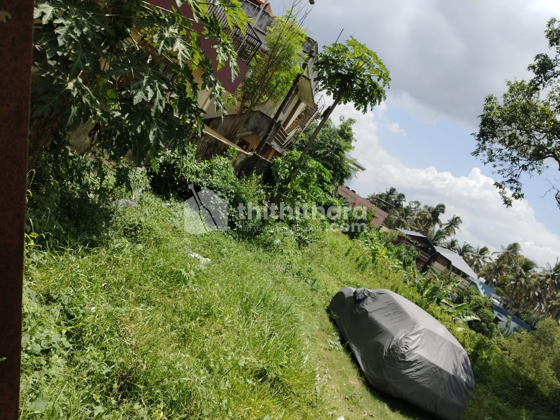 Agricultural Land for Sale @ Thiruvananthapuram