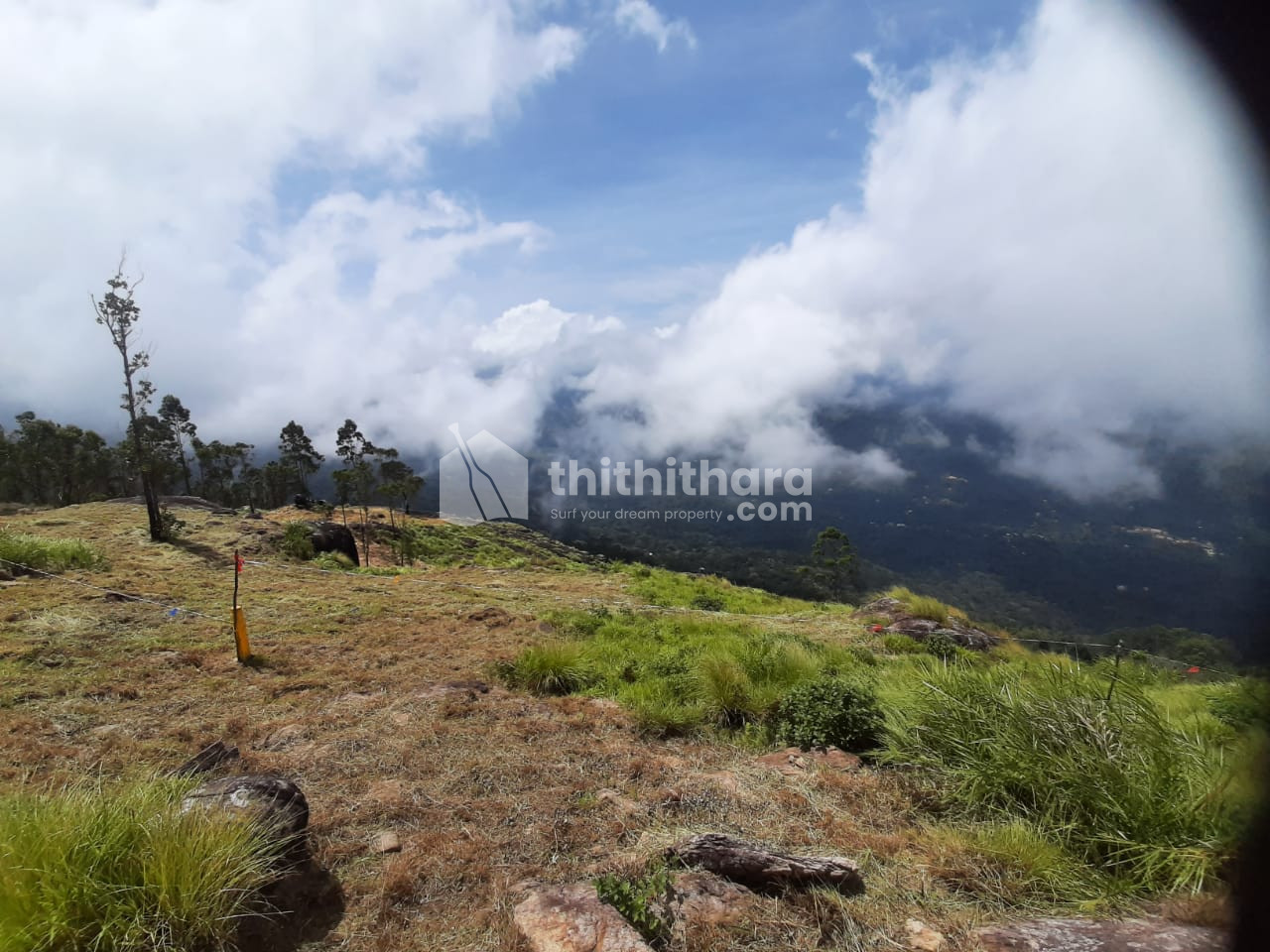 Residential Land for Sale @ Chinnakanal, Munnar, Idukki