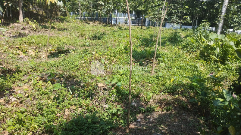 House Plot For Sale at Kanjirappally,Kottayam