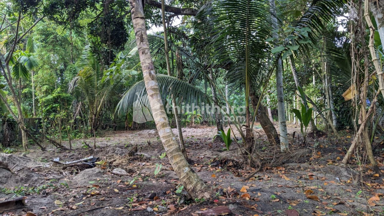 Residential Land for sale at Kayamkulam, Alapuzha
