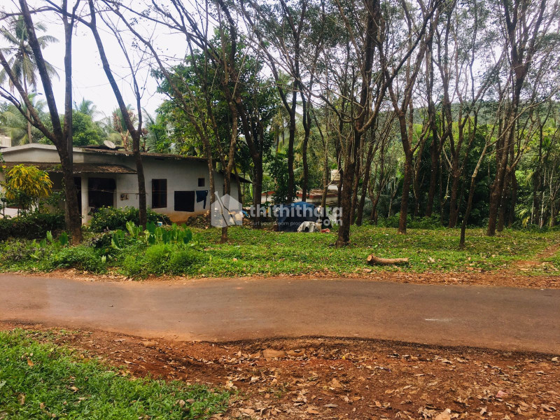 Residential Plot for Sale in Alakode, Kannur