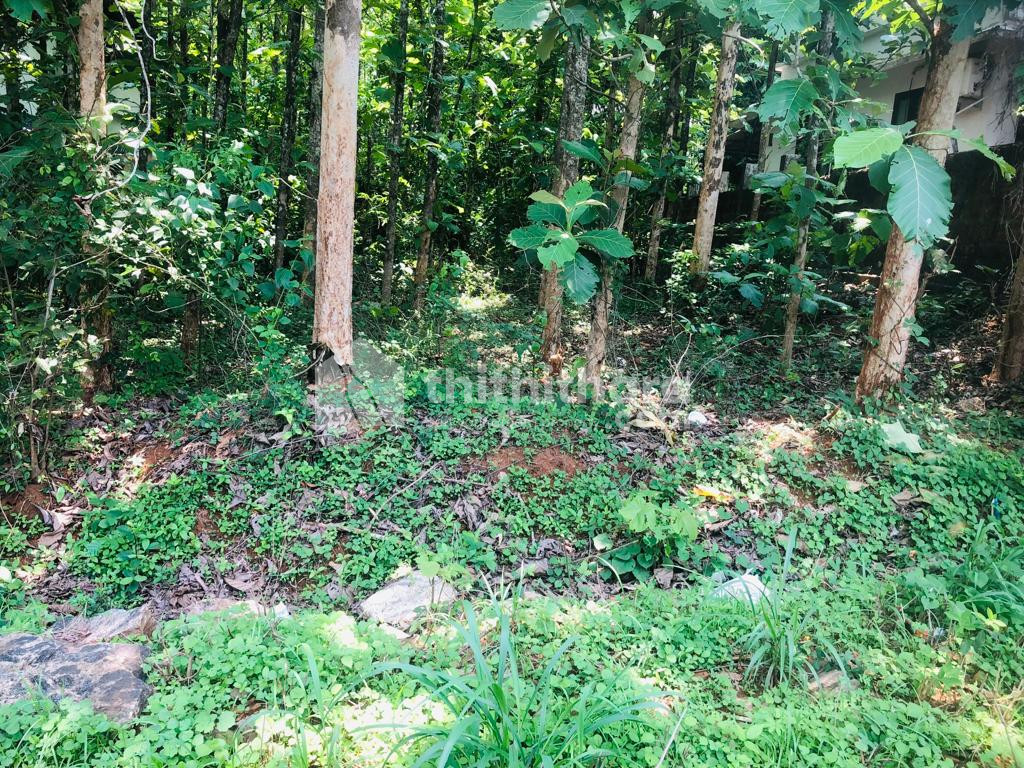  Residential land  for sale at Wandoor , Malappuram