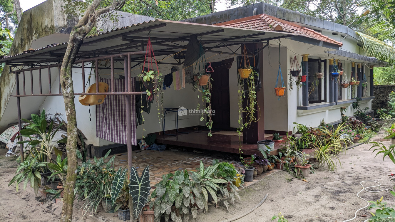 20 cent plot with house in Cherthala, Alappuzha