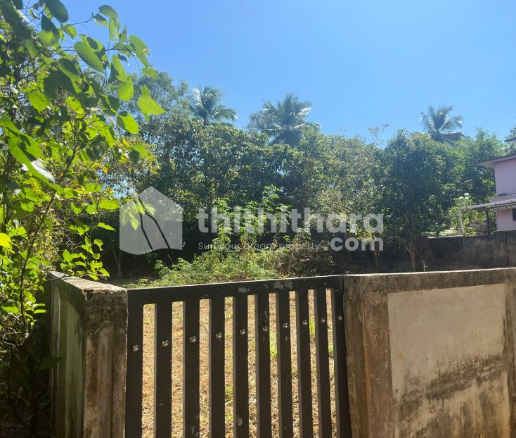 Commercial land for sale in Punkunnam