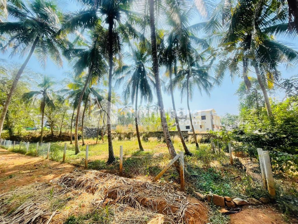 Property for sale in Ottappalam