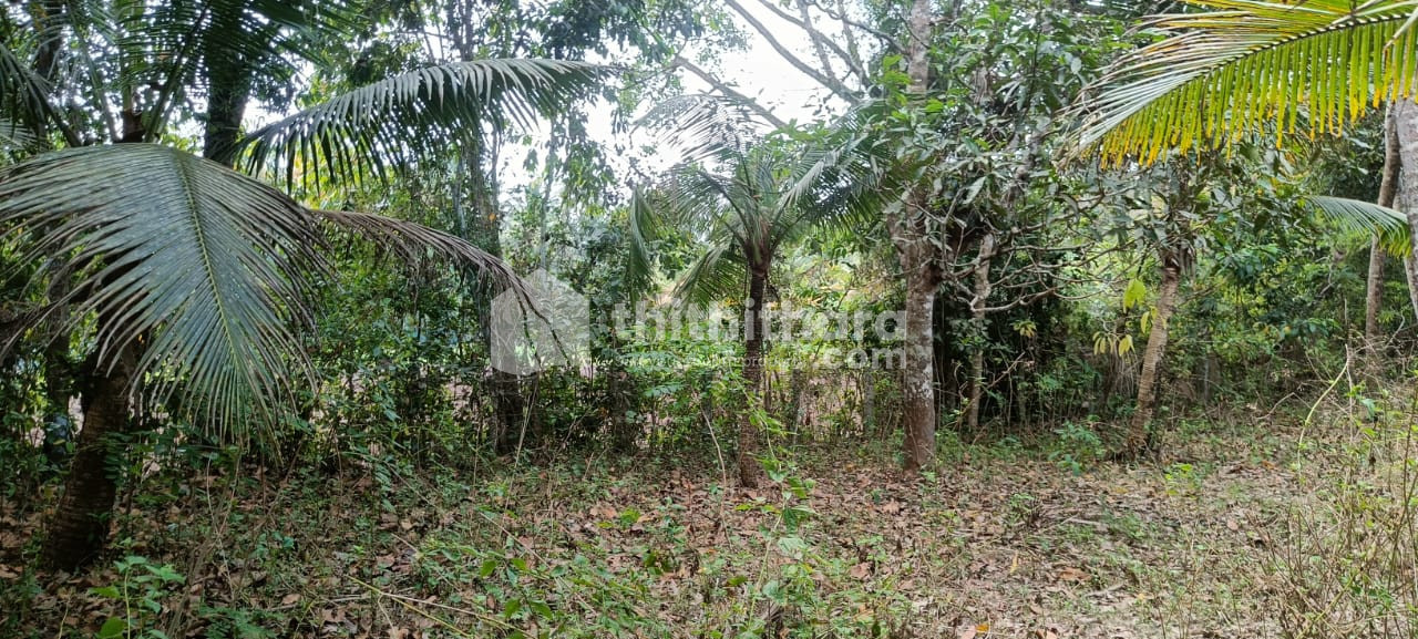 Land for sale at muthukulam